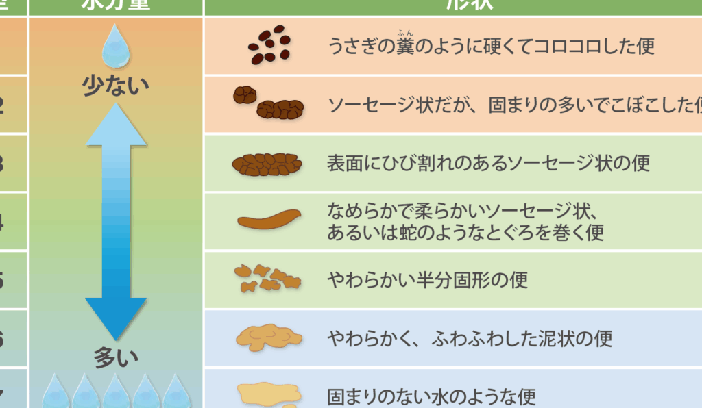 便秘の症状に相談するべき科はどこか
