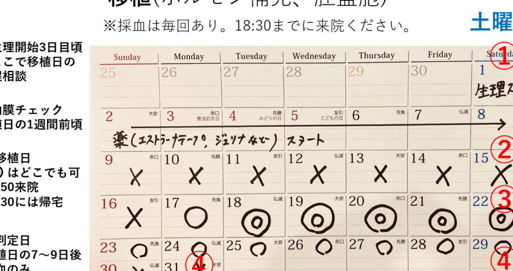 凍結胚移植は生理から何日目に行うべきか