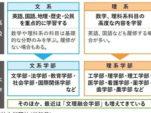経済学部 文系のポイントと学び方について